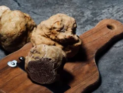 6 Manfaat Jamur Truffle Menarik yang Ternyata Banyak Orang Belum Tahu