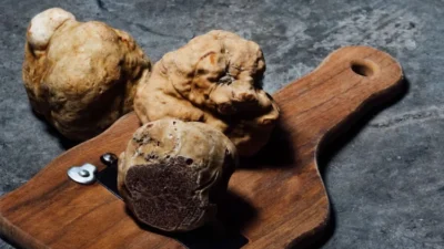 6 Manfaat Jamur Truffle Menarik yang Ternyata Banyak Orang Belum Tahu